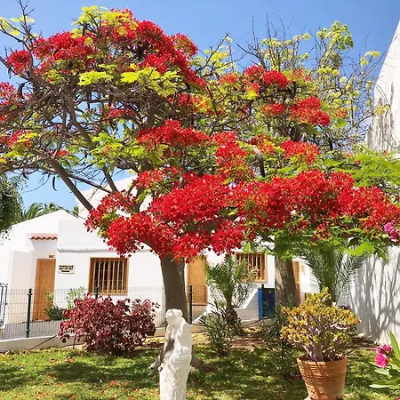 Daire Bonito Apartmento En Garden Con Piscina Climatizada *
