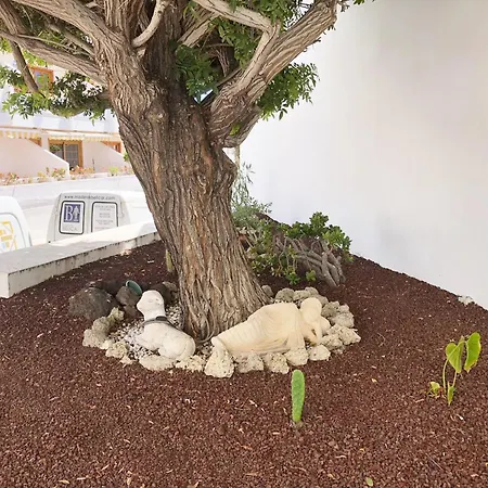 Lejlighed Bonito Apartmento En Garden Con Piscina Climatizada *