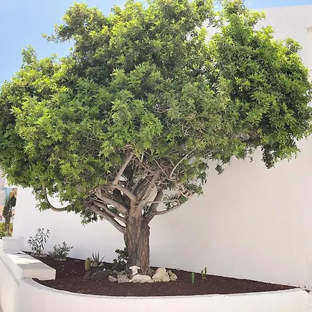 Bonito Apartmento En Garden Con Piscina Climatizada *