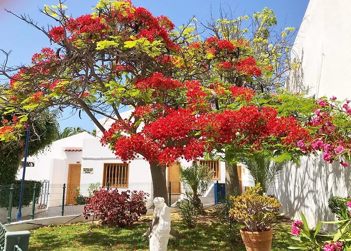 Lejlighed Bonito Apartmento En Garden Con Piscina Climatizada *