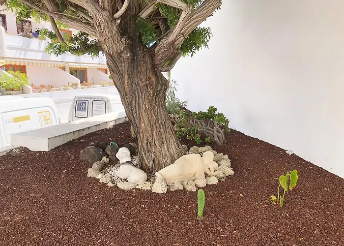 Daire Bonito Apartmento En Garden Con Piscina Climatizada *