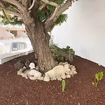 Lägenhet Bonito Apartmento En Garden Con Piscina Climatizada *